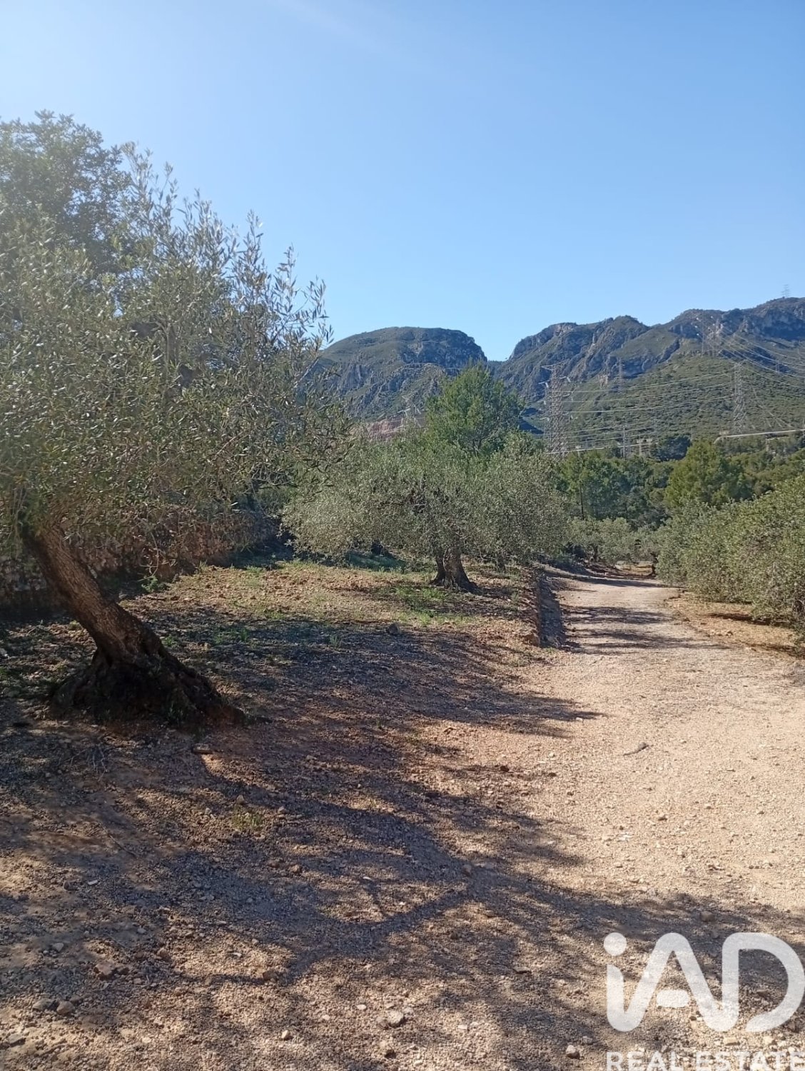Parcela en Vandellòs i l'Hospitalet de l'Infant, Tarragona, España 11233 m2 No. 184937