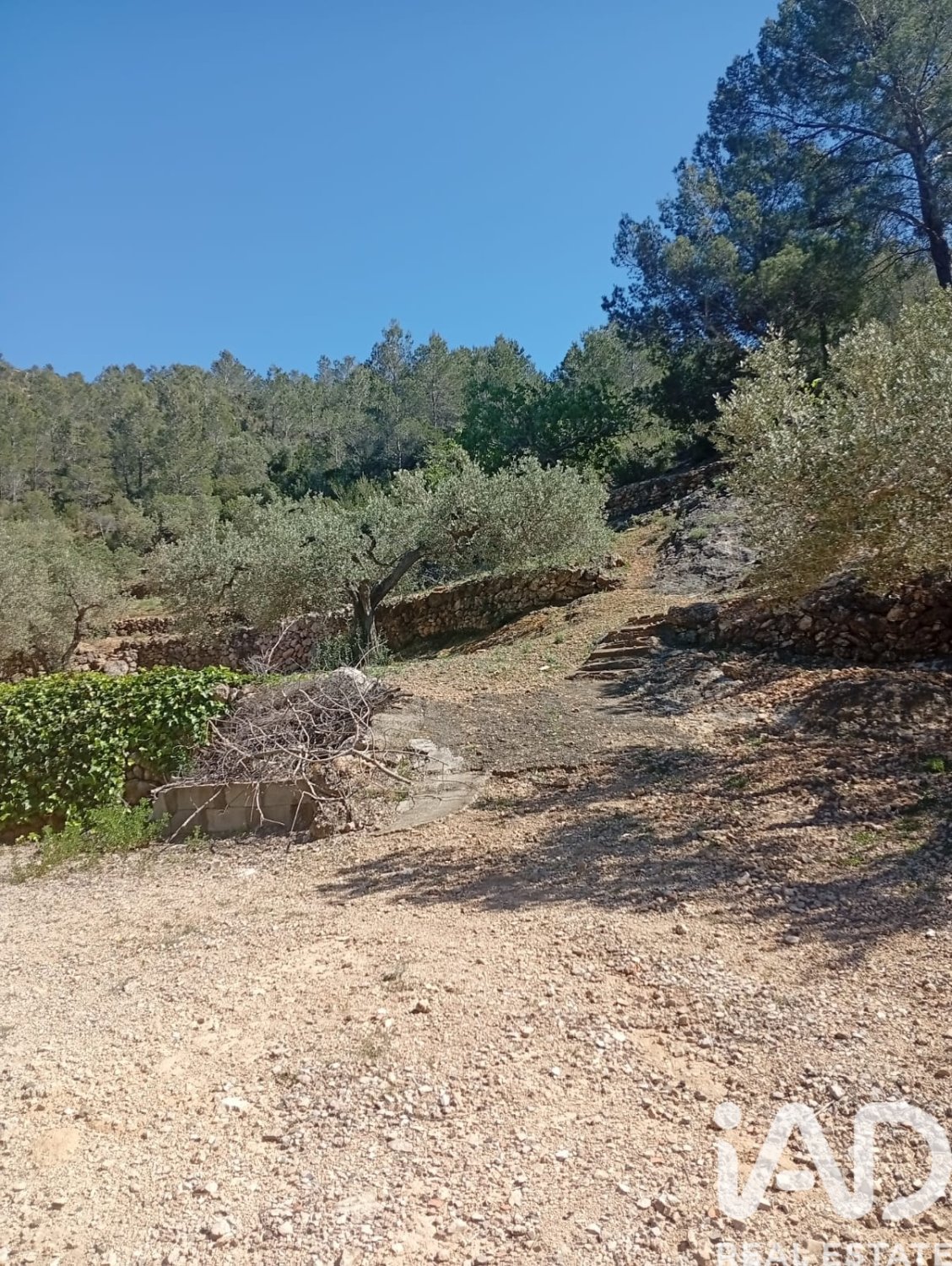 Parcela en Vandellòs i l'Hospitalet de l'Infant, Tarragona, España 11233 m2 No. 184937