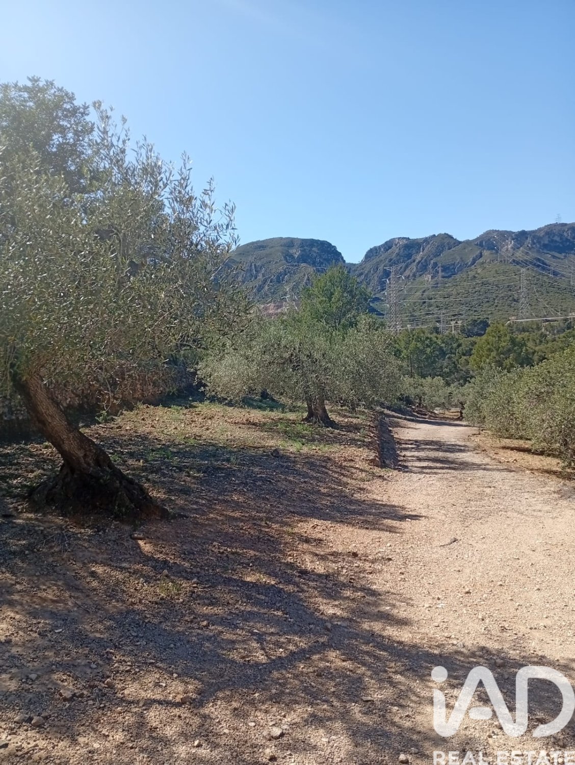 Parcela en Vandellòs i l'Hospitalet de l'Infant, Tarragona, España 11233 m2 No. 184937