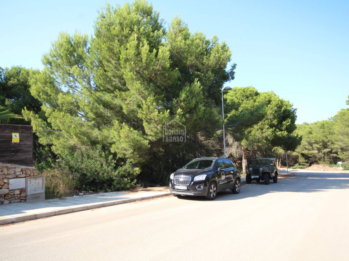 Land in Es Mercadal, Menorca, Spanien Nr. 181938