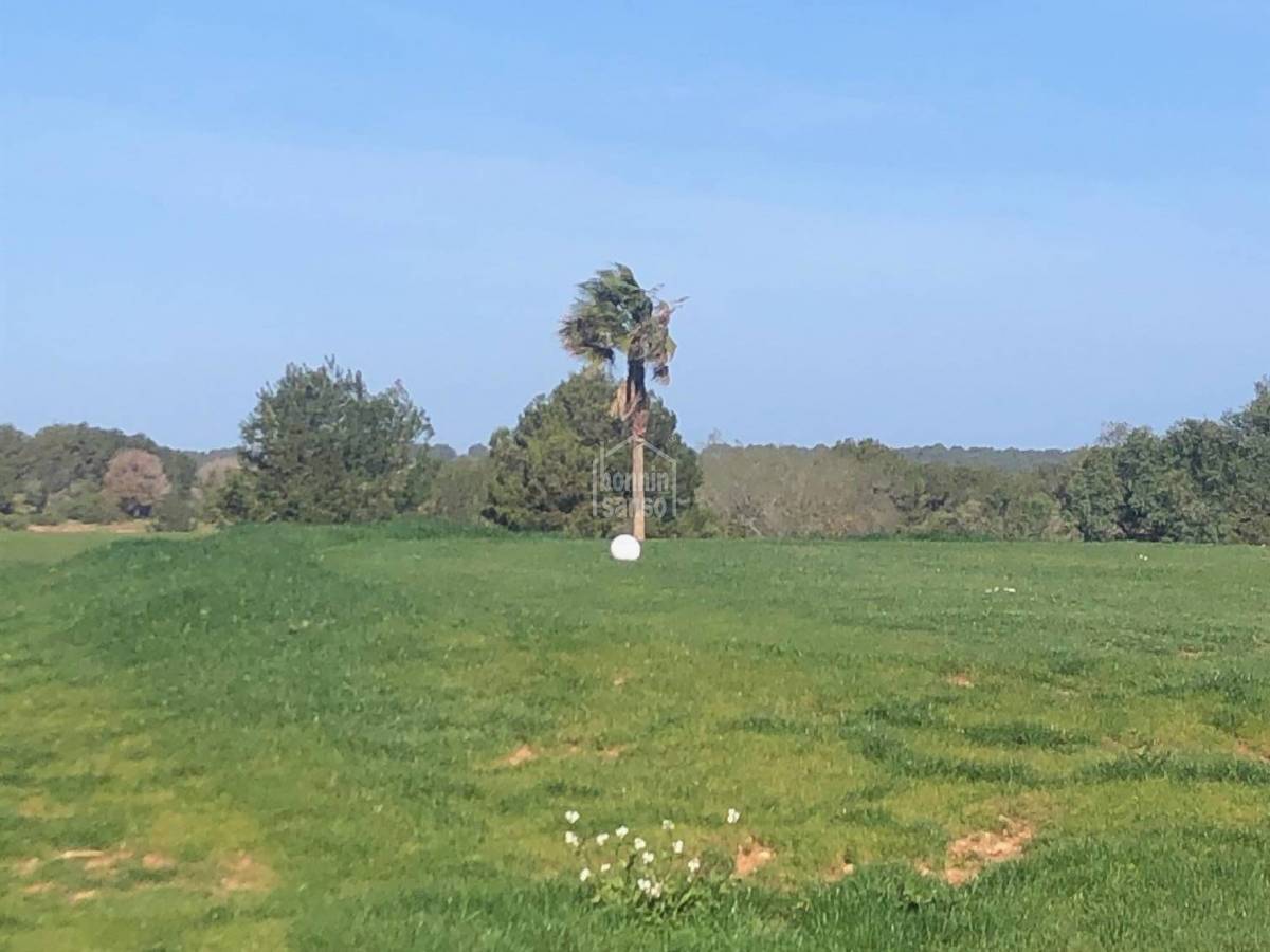 Land in Es Mercadal, Menorca, Spanien Nr. 181938