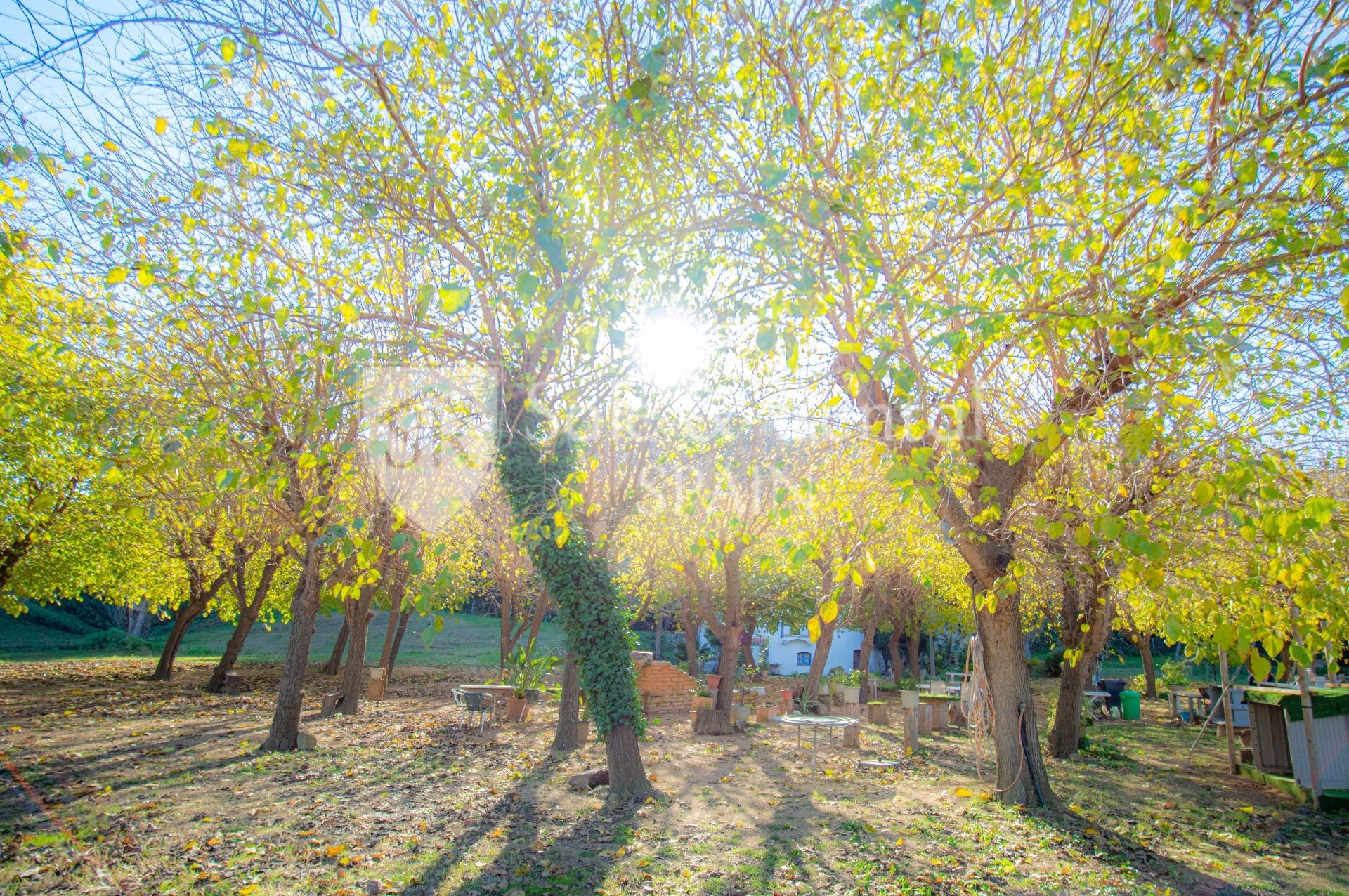 House in Sant Pol de Mar, Barcelona, Spain 4 bedrooms, 270 sq.m. No. 166443