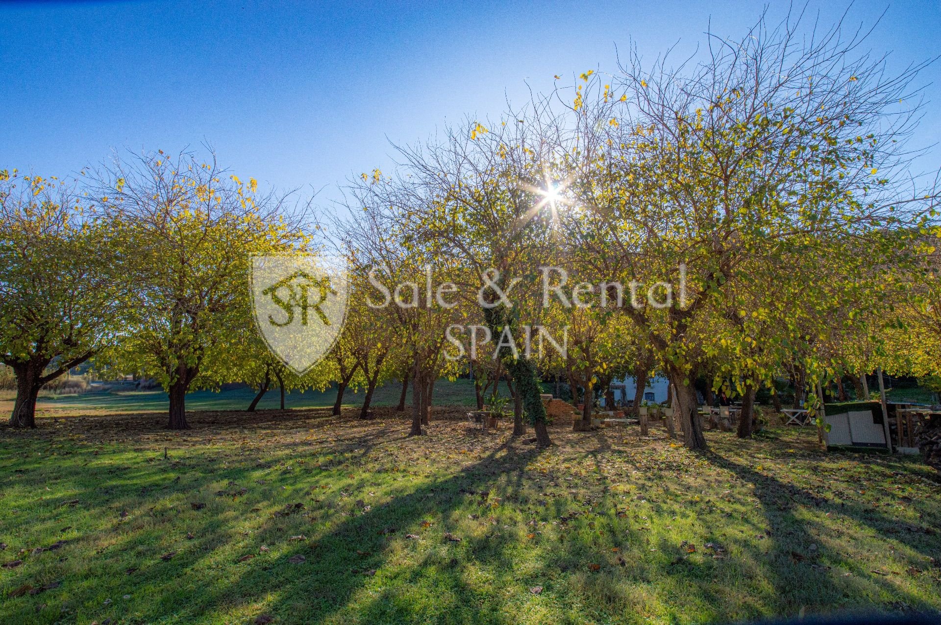 House in Sant Pol de Mar, Barcelona, Spain 4 bedrooms, 270 sq.m. No. 166443