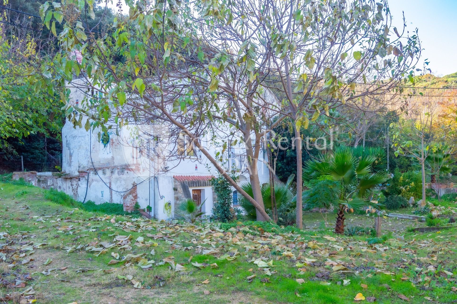 House in Sant Pol de Mar, Barcelona, Spain 4 bedrooms, 270 sq.m. No. 166443