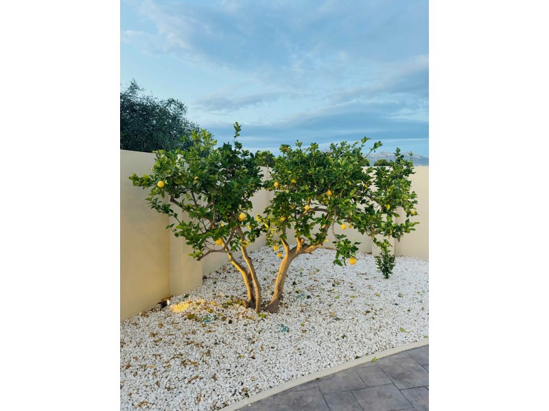 Villa i L'Alfàs del Pi, Alicante, Spanien 4 sovrum, 350 kvm. Nr. 119730