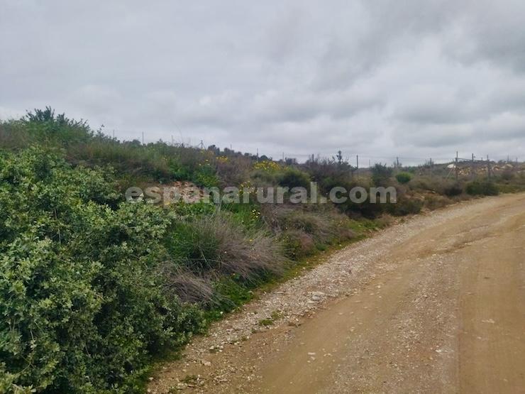 House in Albox, Almeria, Spanien 3 Schlafzimmer, 110 m2 Nr. 184012