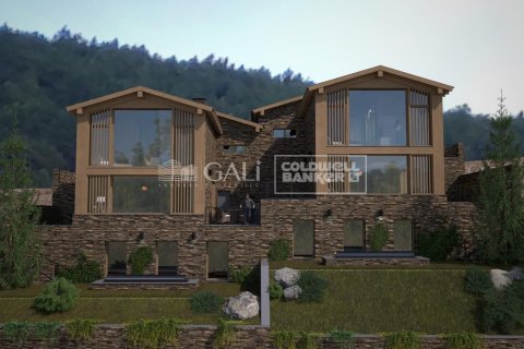 Huvila Principado De Andorra (Ninguna Poblacion Tiene C.P.), Lleida, Espanja 5 makuuhuonetta, 465 m2 No. 157429