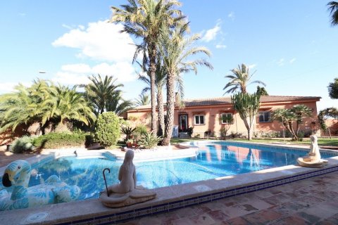 Villa a Torrevieja, Alicante, Spagna 5 camere da letto, 380 mq. N° 115499