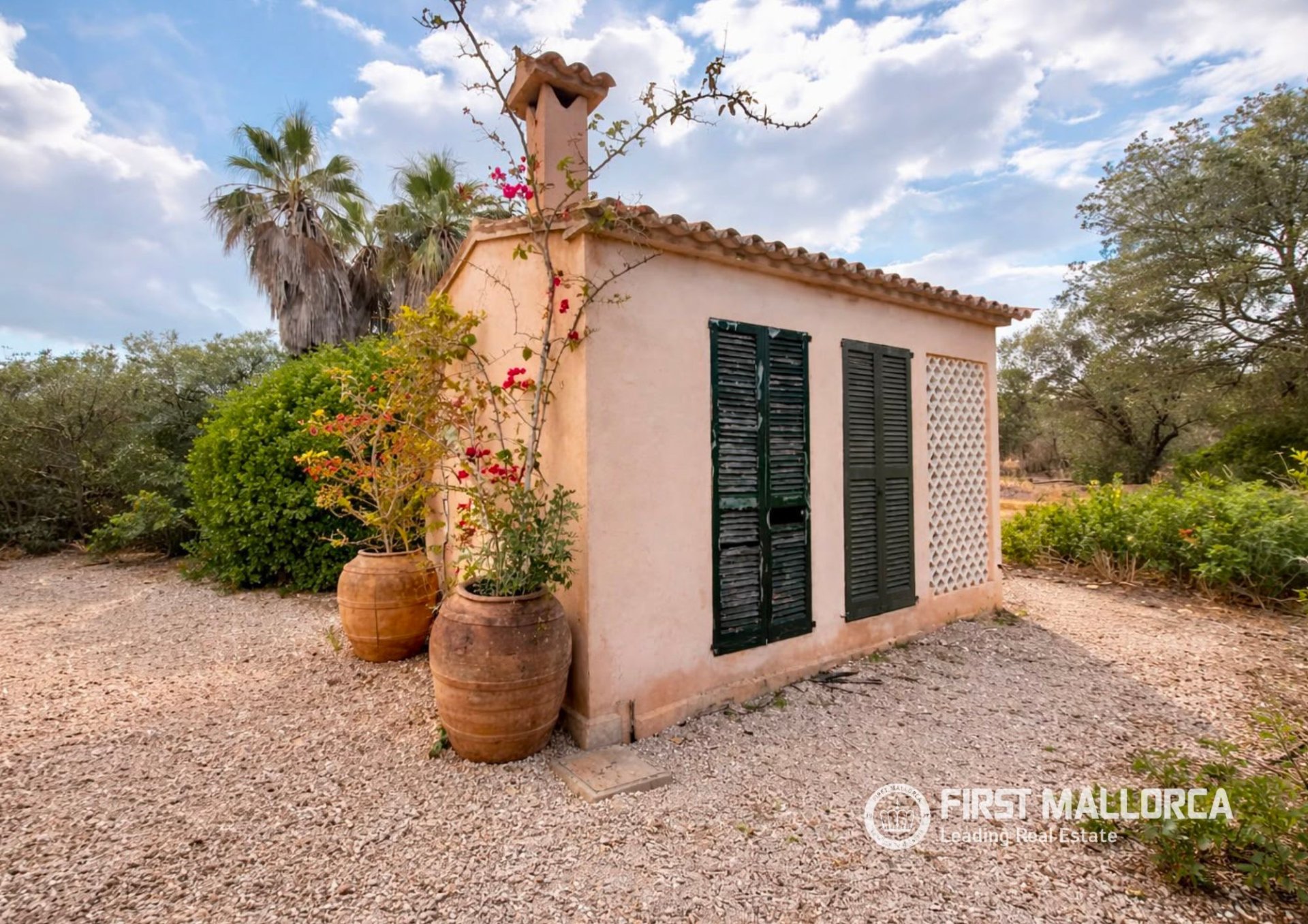 Finca a Ses Salines, Mallorca, Spagna 3 camere da letto, 475 mq. N° 182113