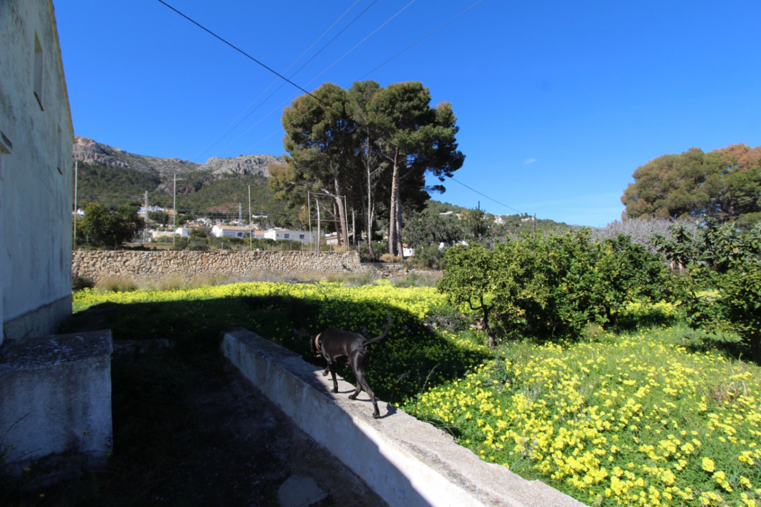 Huvila Calpe, Alicante, Espanja 4 makuuhuonetta, 104 m2 No. 164698