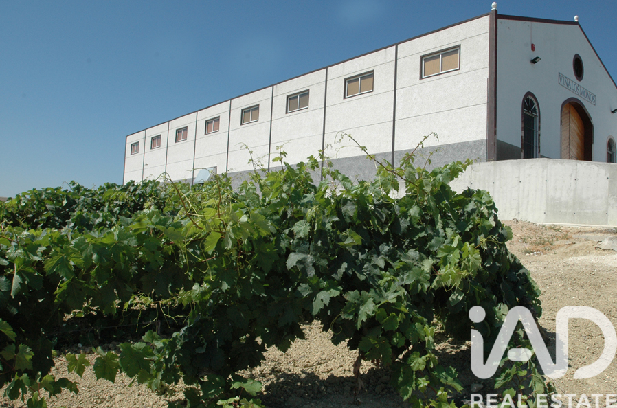 Lokal usługowy w Jerez de la Frontera, Cadiz, Hiszpania nr 172825