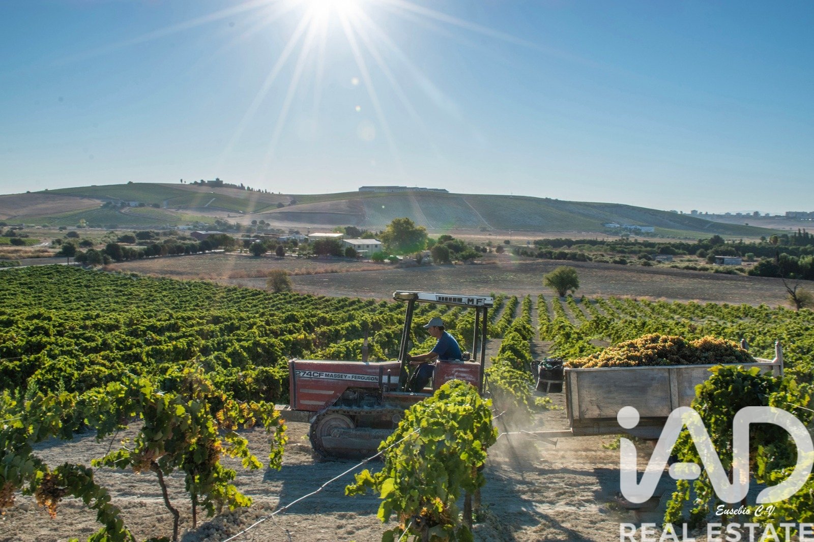 Lokal usługowy w Jerez de la Frontera, Cadiz, Hiszpania nr 172825