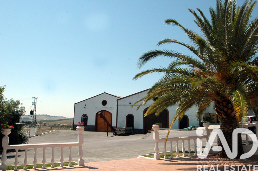 Lokal usługowy w Jerez de la Frontera, Cadiz, Hiszpania nr 172825