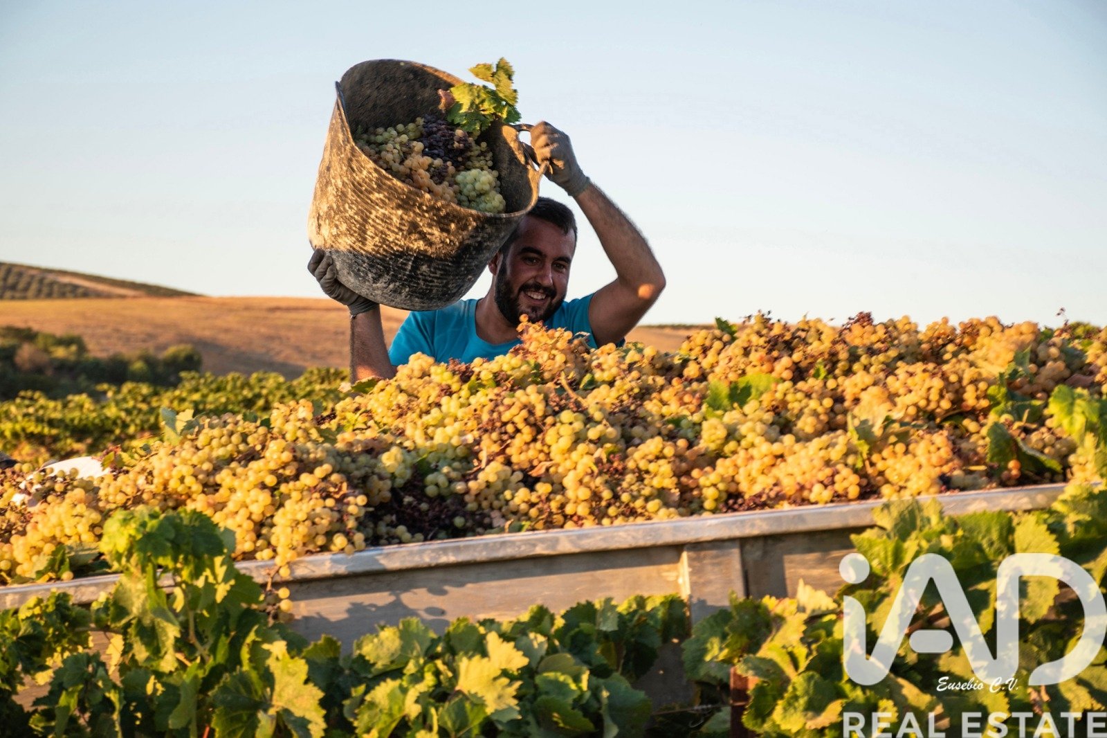 Lokal usługowy w Jerez de la Frontera, Cadiz, Hiszpania nr 172825