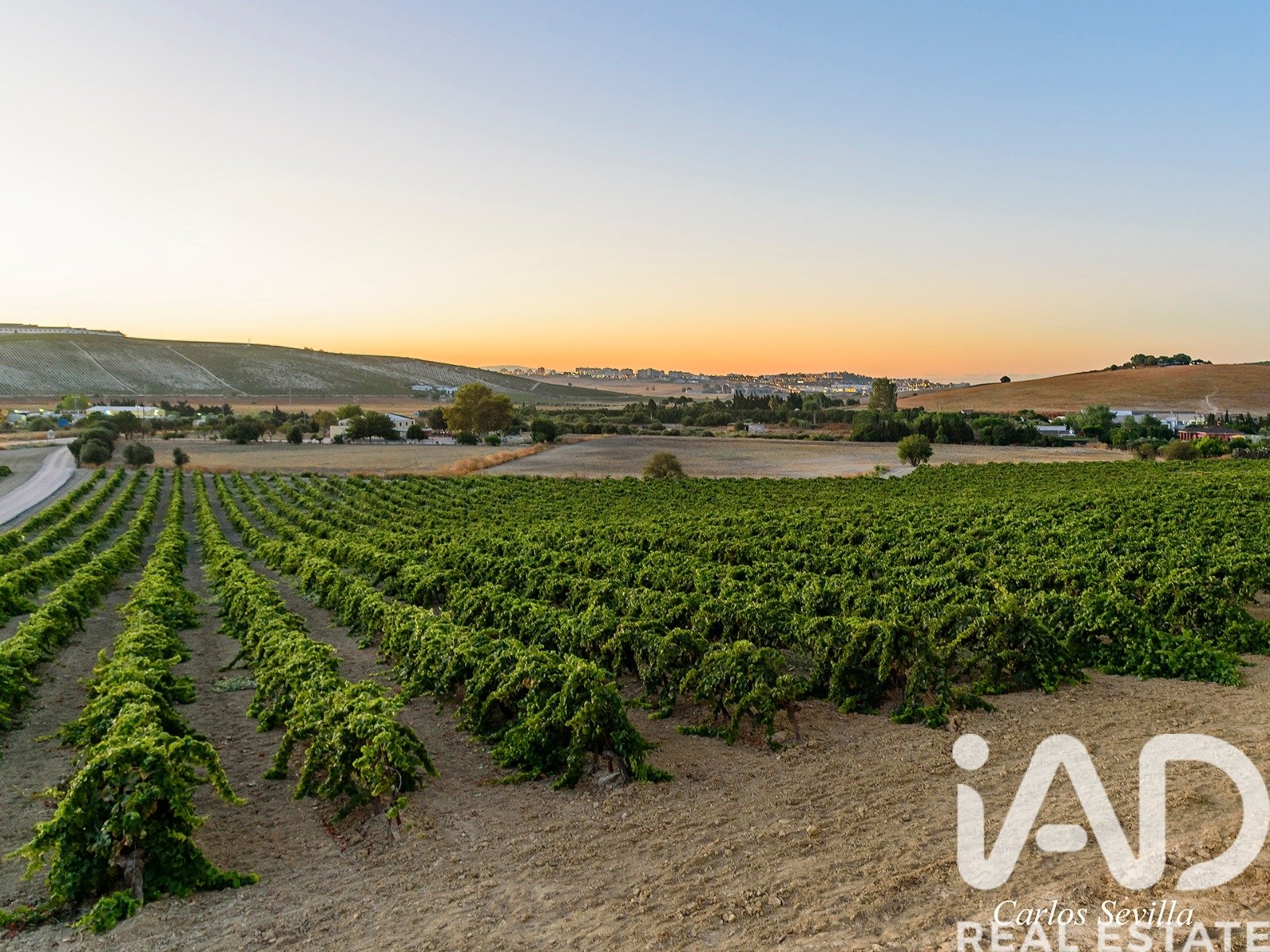 Lokal usługowy w Jerez de la Frontera, Cadiz, Hiszpania nr 172825