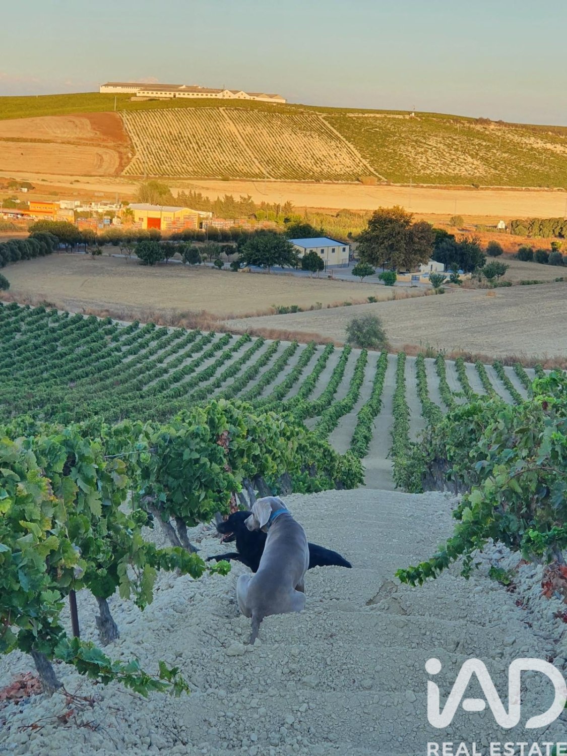 Lokal usługowy w Jerez de la Frontera, Cadiz, Hiszpania nr 172825