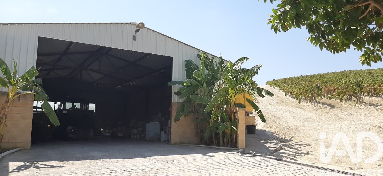 Lokal usługowy w Jerez de la Frontera, Cadiz, Hiszpania nr 172825