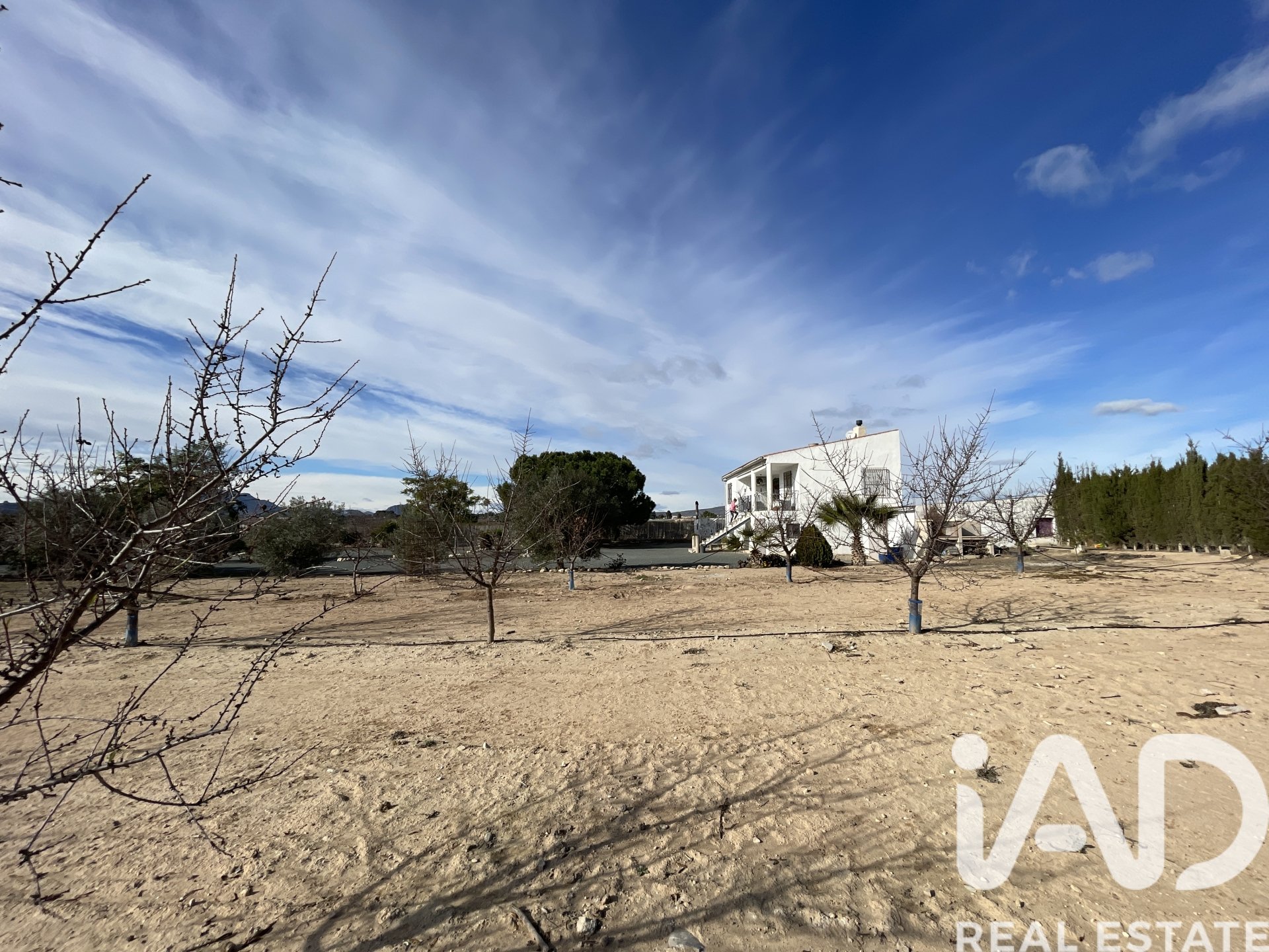 Talo Blanca, Murcia, Espanja 3 makuuhuonetta, 204 m2 No. 173234