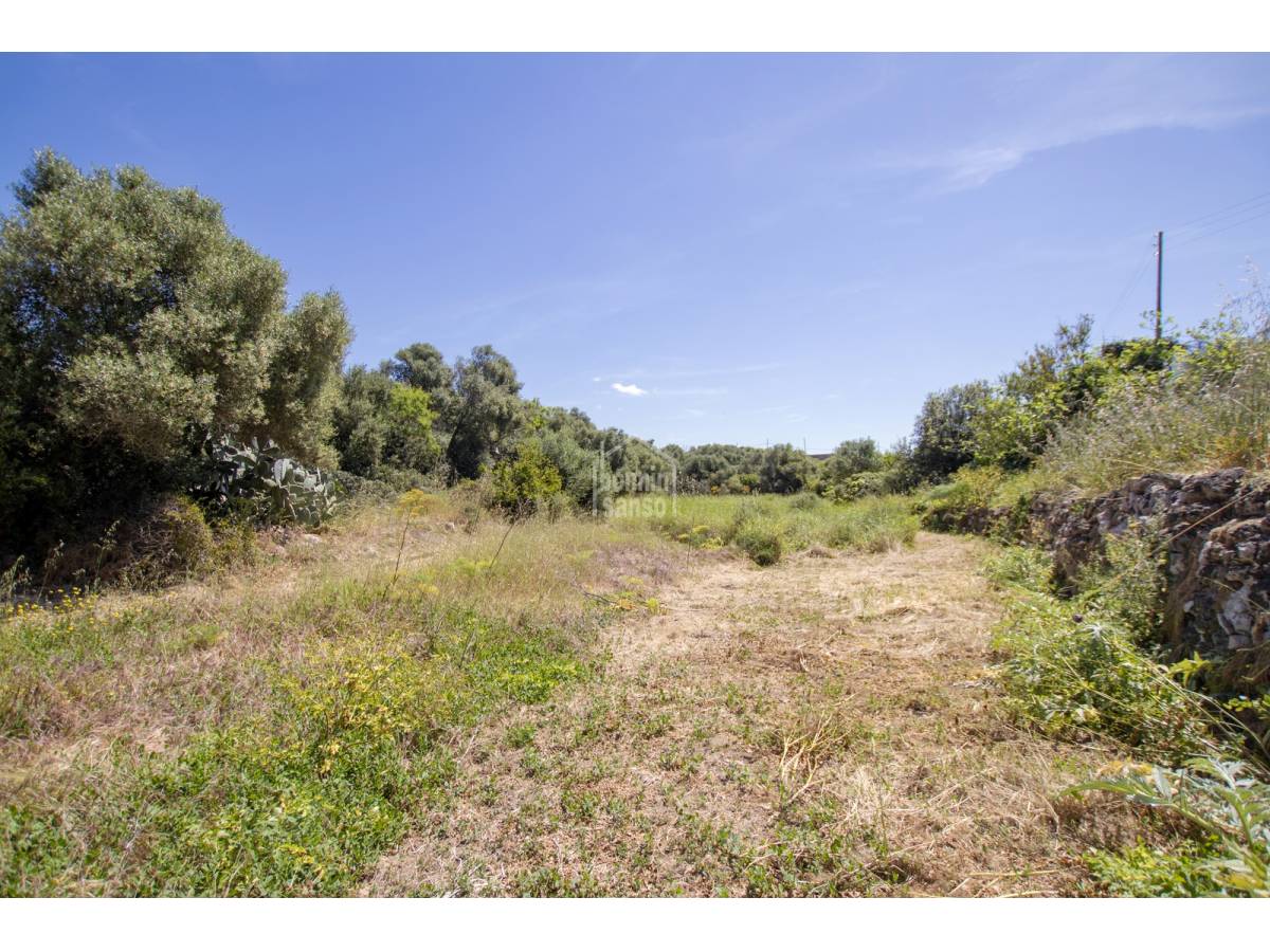 Talo Ciutadella De Menorca, Menorca, Espanja 4 makuuhuonetta, 153 m2 No. 67639