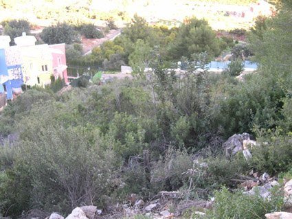 Terreno a Pedreguer, Alicante, Spagna N° 183939