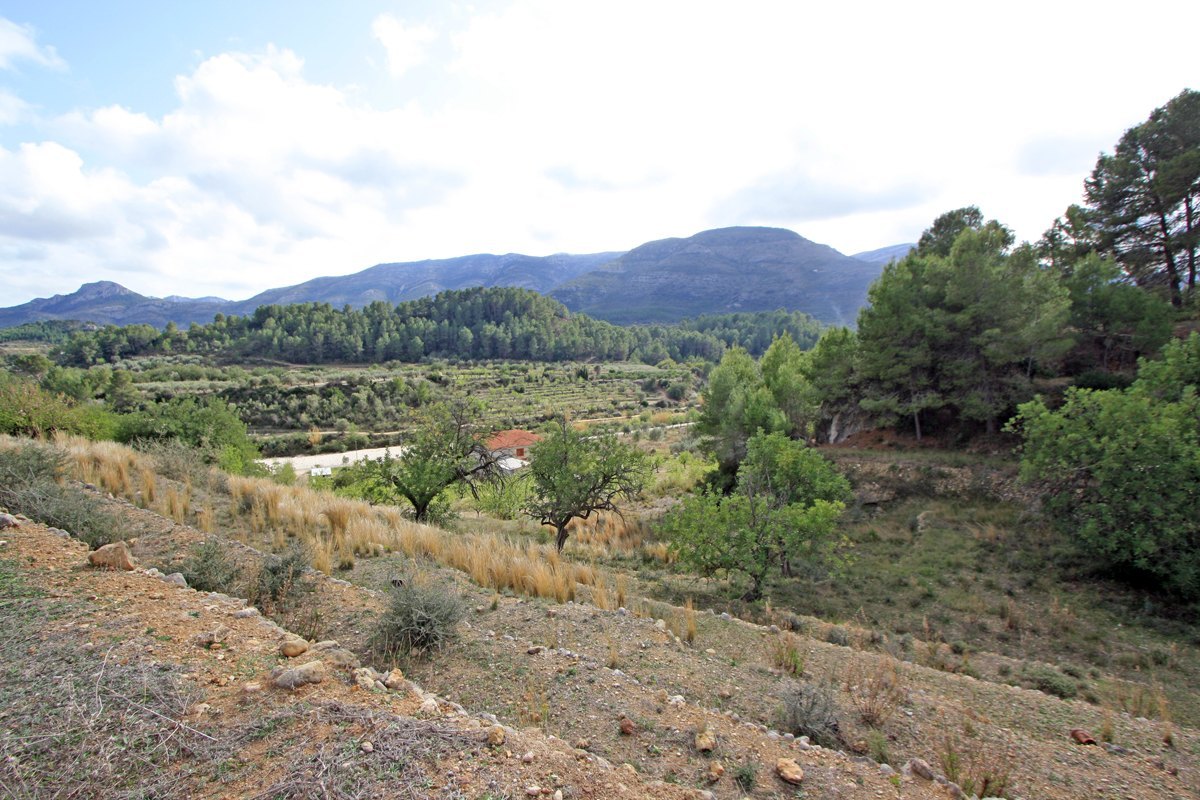 Zemes gabals Murla, Alicante, Spānijā Nr. 183937