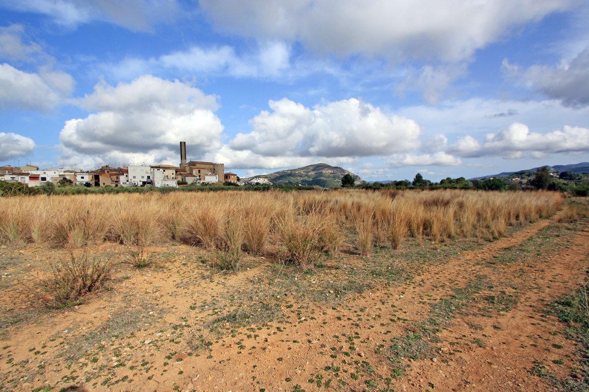 Zemes gabals Murla, Alicante, Spānijā Nr. 183937