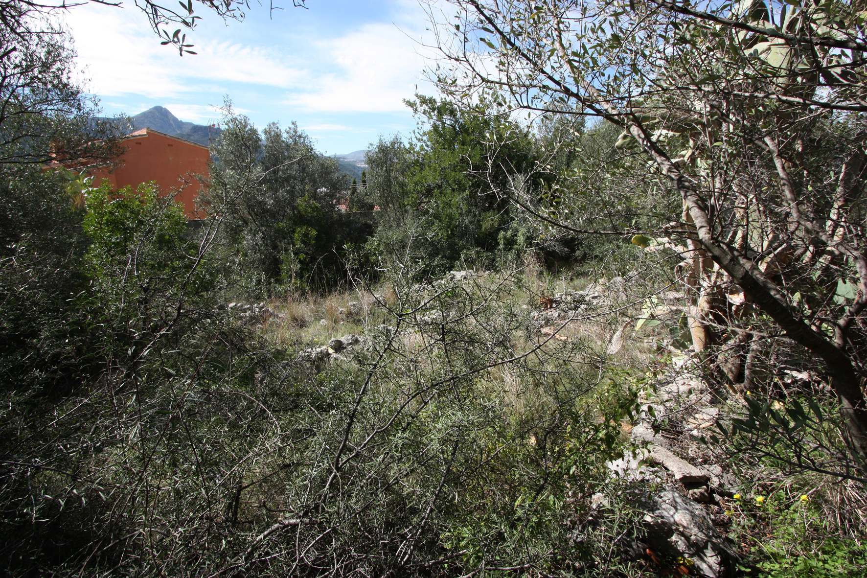 Zemes gabals Orba, Alicante, Spānijā Nr. 183940