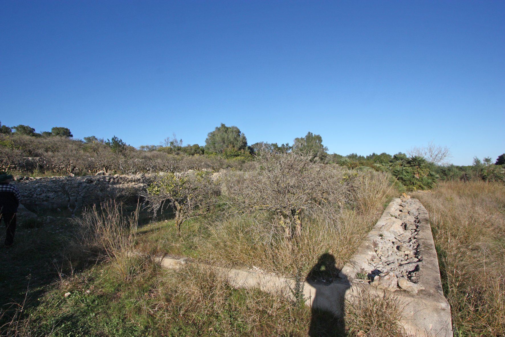 Tontti Benimeli, Alicante, Espanja No. 183936