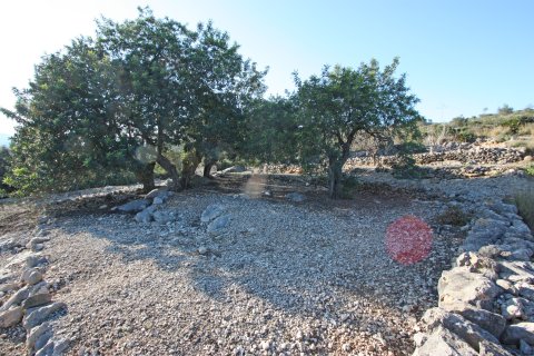 Zemes gabals Benimeli, Alicante, Spānijā Nr. 183936