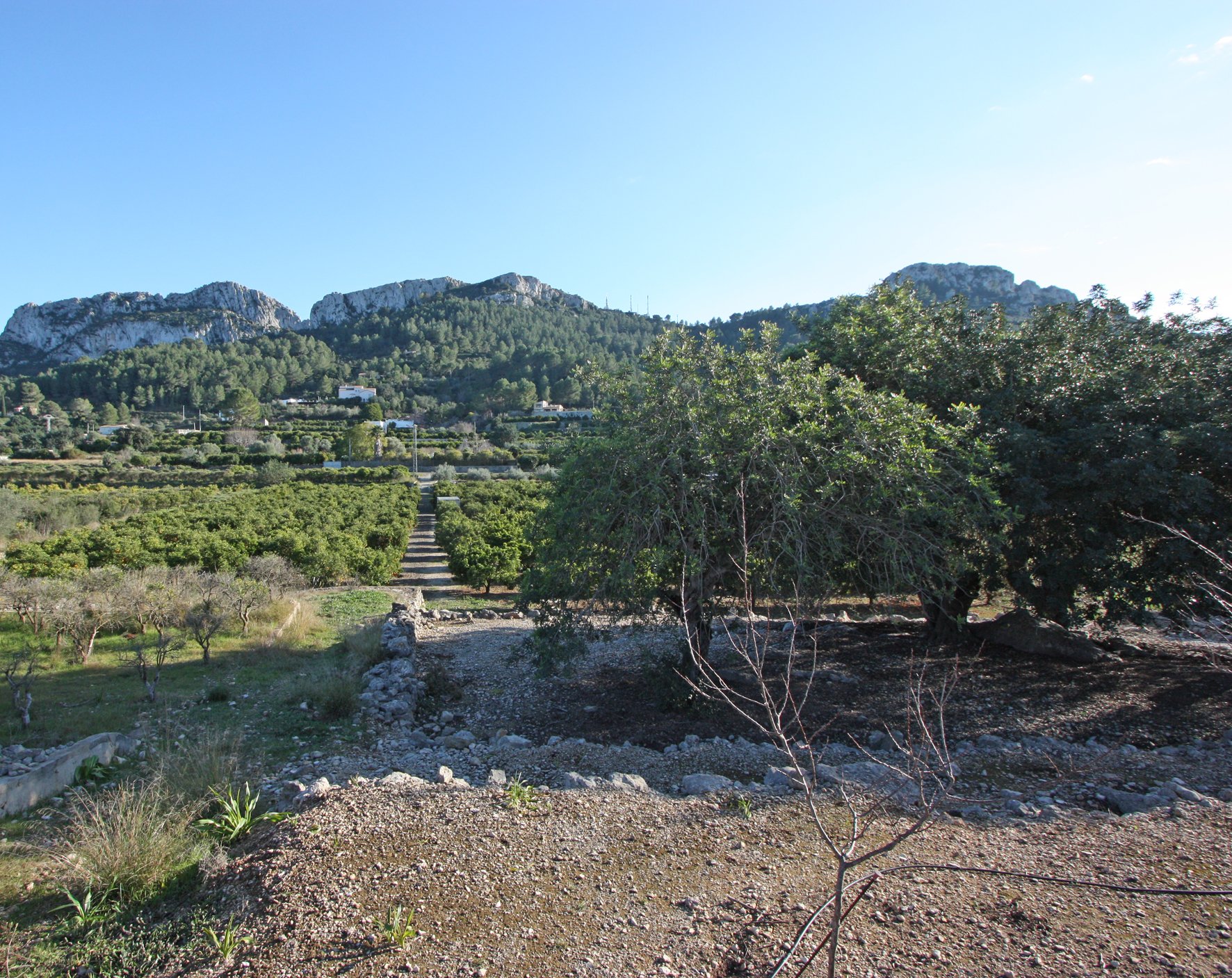 Tontti Benimeli, Alicante, Espanja No. 183936