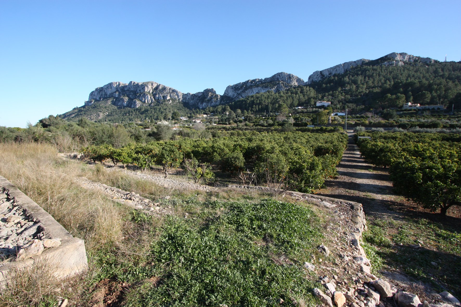 Tontti Benimeli, Alicante, Espanja No. 183936