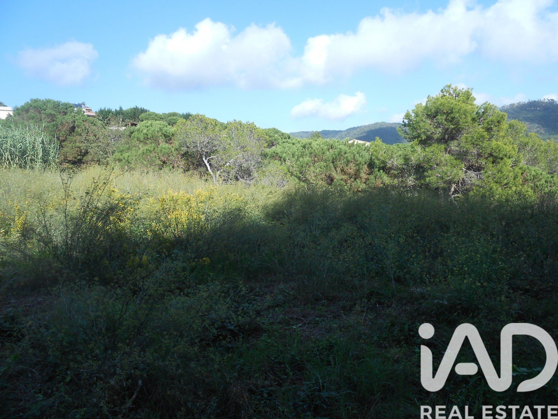 Land plot in Tordera, Barcelona, Spain 911 sq.m. No. 185437