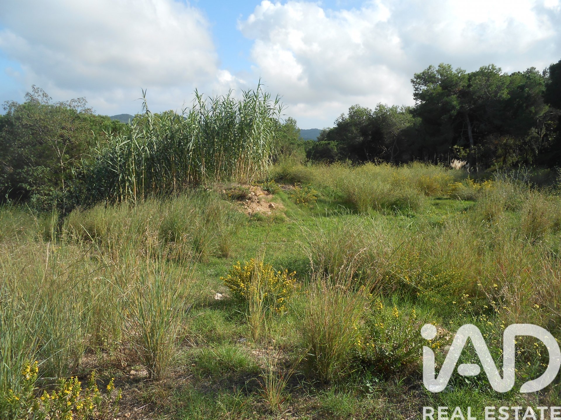 Land plot in Tordera, Barcelona, Spain 911 sq.m. No. 185437