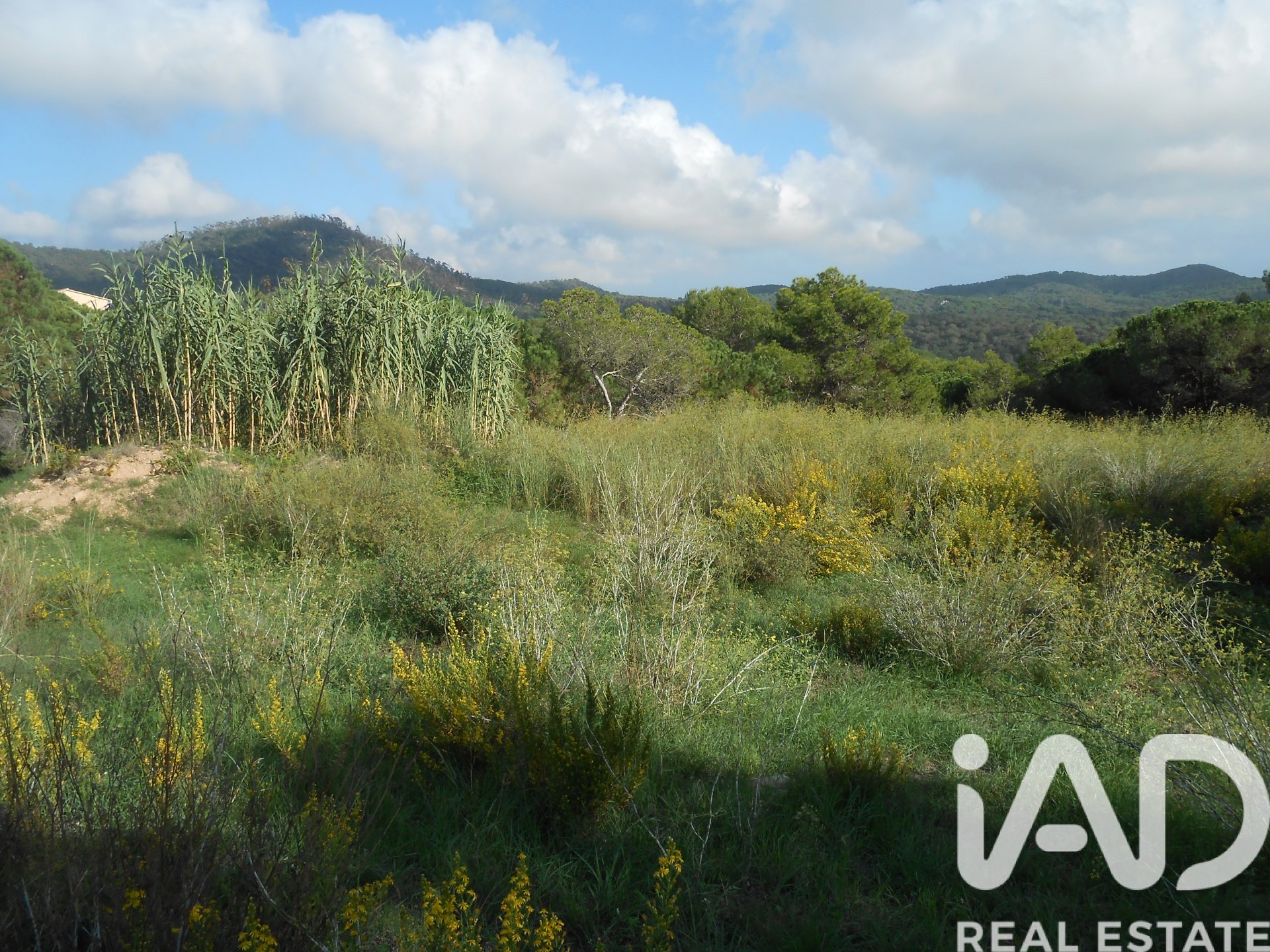 Land plot in Tordera, Barcelona, Spain 911 sq.m. No. 185437