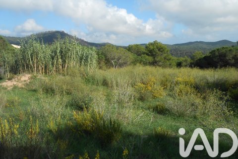 Land plot in Tordera, Barcelona, Spain 911 sq.m. No. 185437