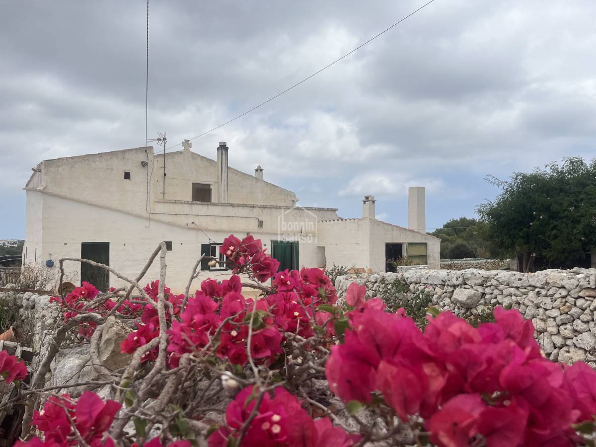 Dom w Sant Lluis, Menorca, Hiszpania 5 sypialni, 211 mkw. nr 78187
