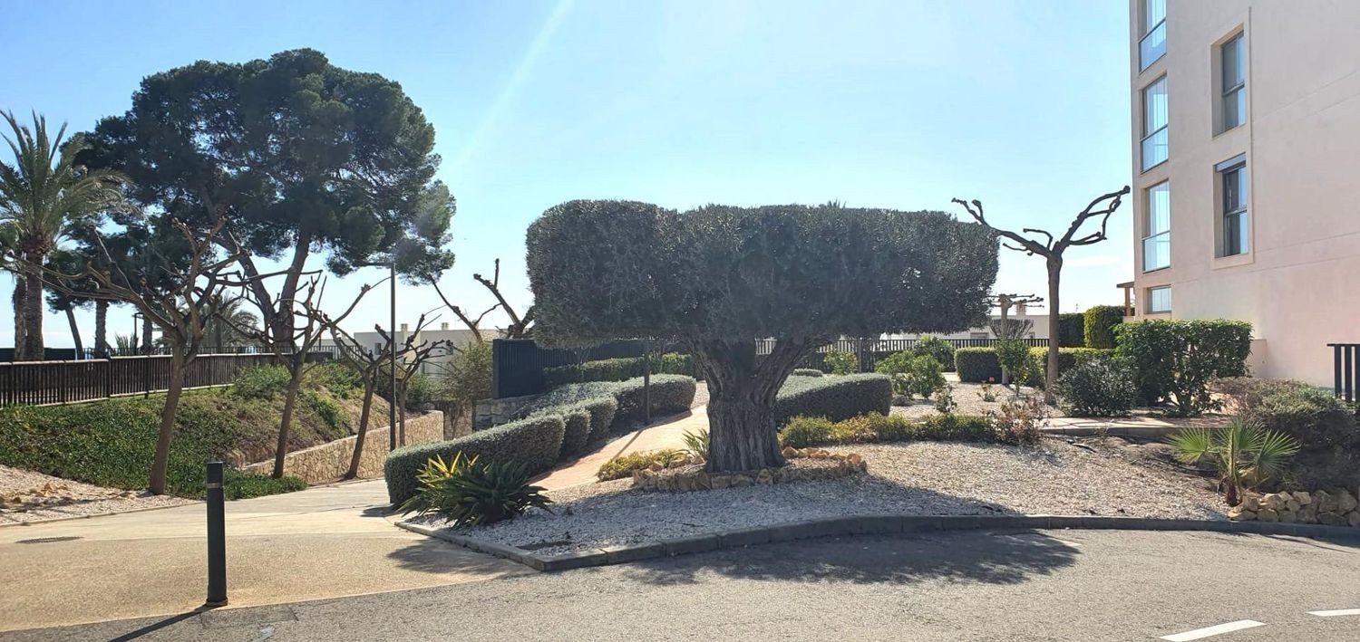 Huvila Villajoyosa, Alicante, Espanja 3 makuuhuonetta, 181 m2 No. 133338