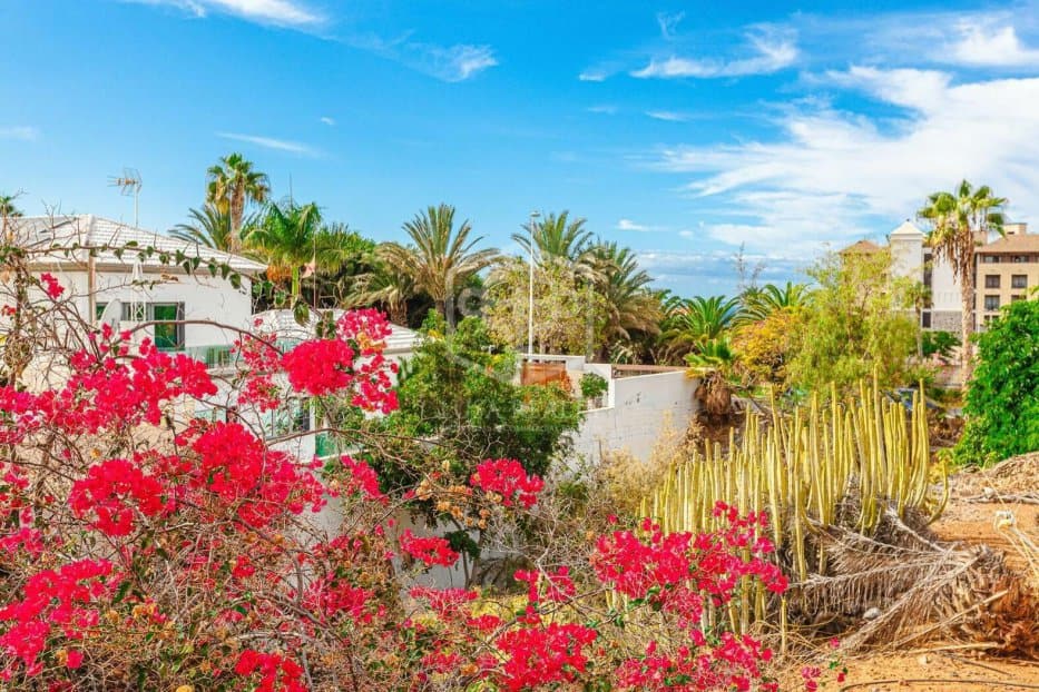 Radhus i Adeje, Tenerife, Spanien 3 sovrum, 272 kvm. Nr. 111047
