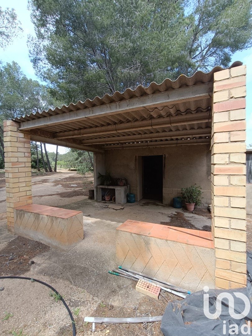 Land plot in El Perello, Tarragona, Spain 55000 sq.m. No. 185898