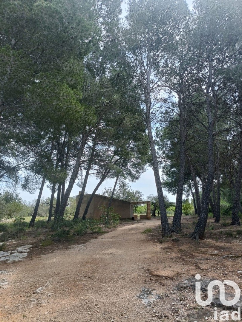 Land plot in El Perello, Tarragona, Spain 55000 sq.m. No. 185898