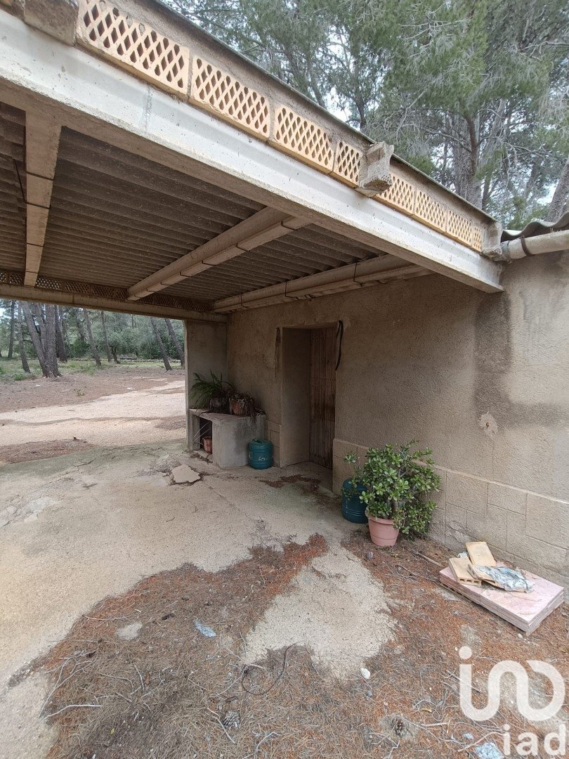 Land plot in El Perello, Tarragona, Spain 55000 sq.m. No. 185898