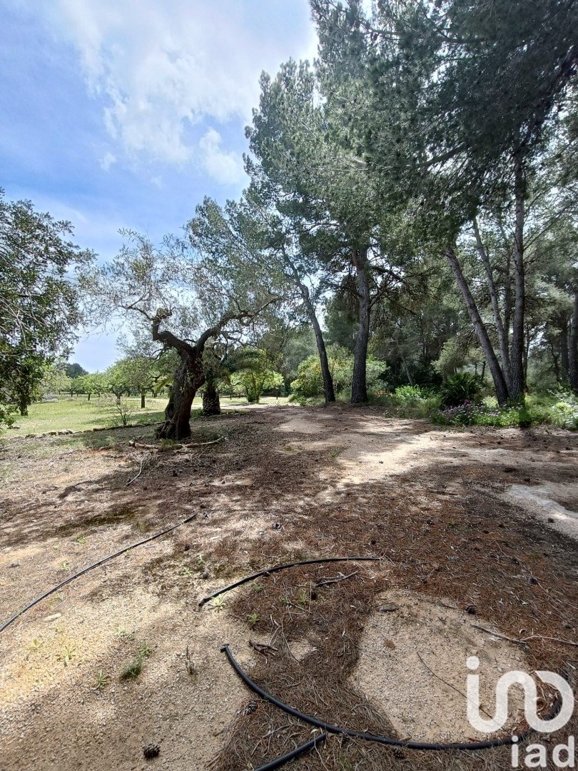 Land plot in El Perello, Tarragona, Spain 55000 sq.m. No. 185898