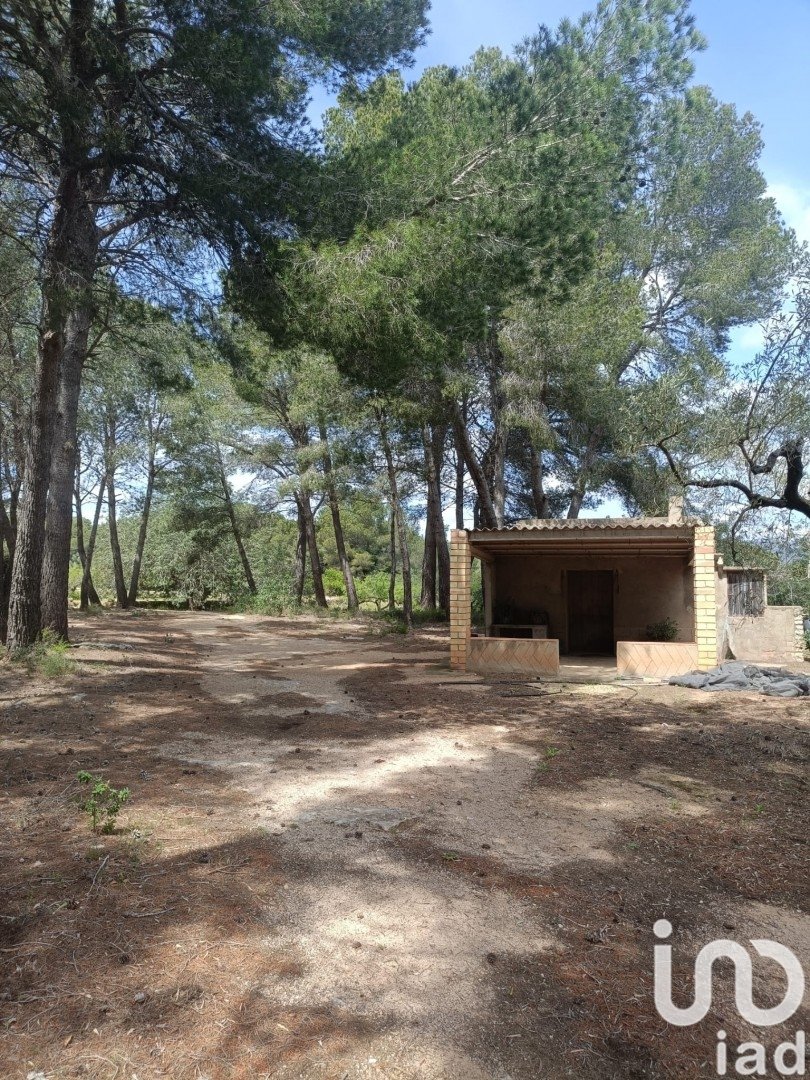 Land plot in El Perello, Tarragona, Spain 55000 sq.m. No. 185898