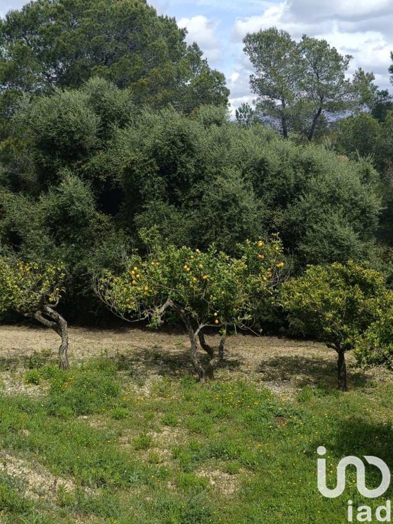 Land plot in El Perello, Tarragona, Spain 55000 sq.m. No. 185898