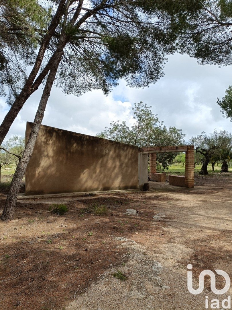 Land plot in El Perello, Tarragona, Spain 55000 sq.m. No. 185898