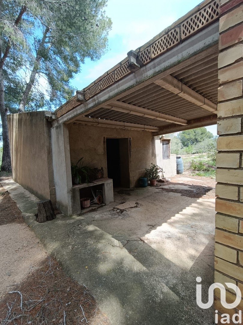 Land plot in El Perello, Tarragona, Spain 55000 sq.m. No. 185898
