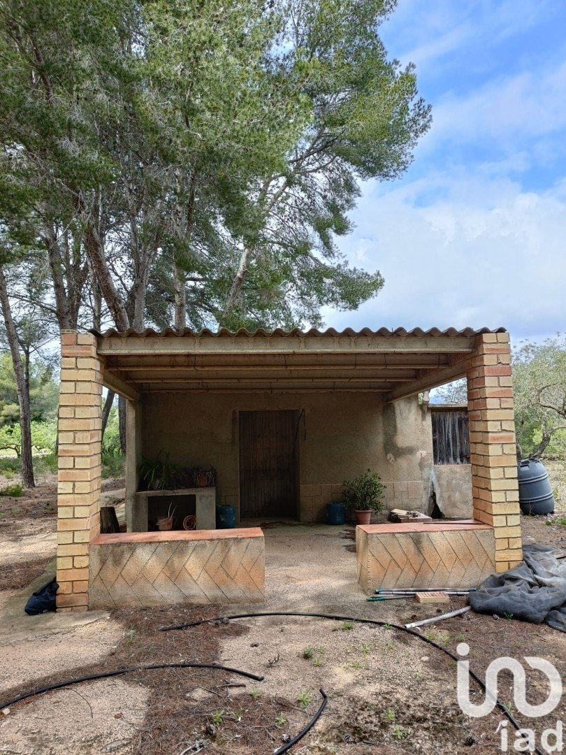 Land plot in El Perello, Tarragona, Spain 55000 sq.m. No. 185898