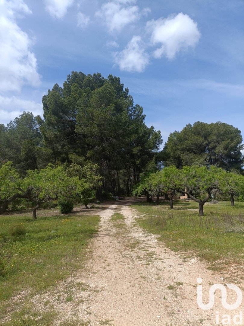 Land plot in El Perello, Tarragona, Spain 55000 sq.m. No. 185898