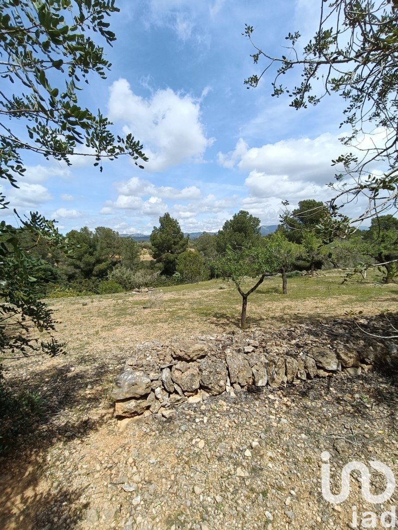 Land plot in El Perello, Tarragona, Spain 55000 sq.m. No. 185898