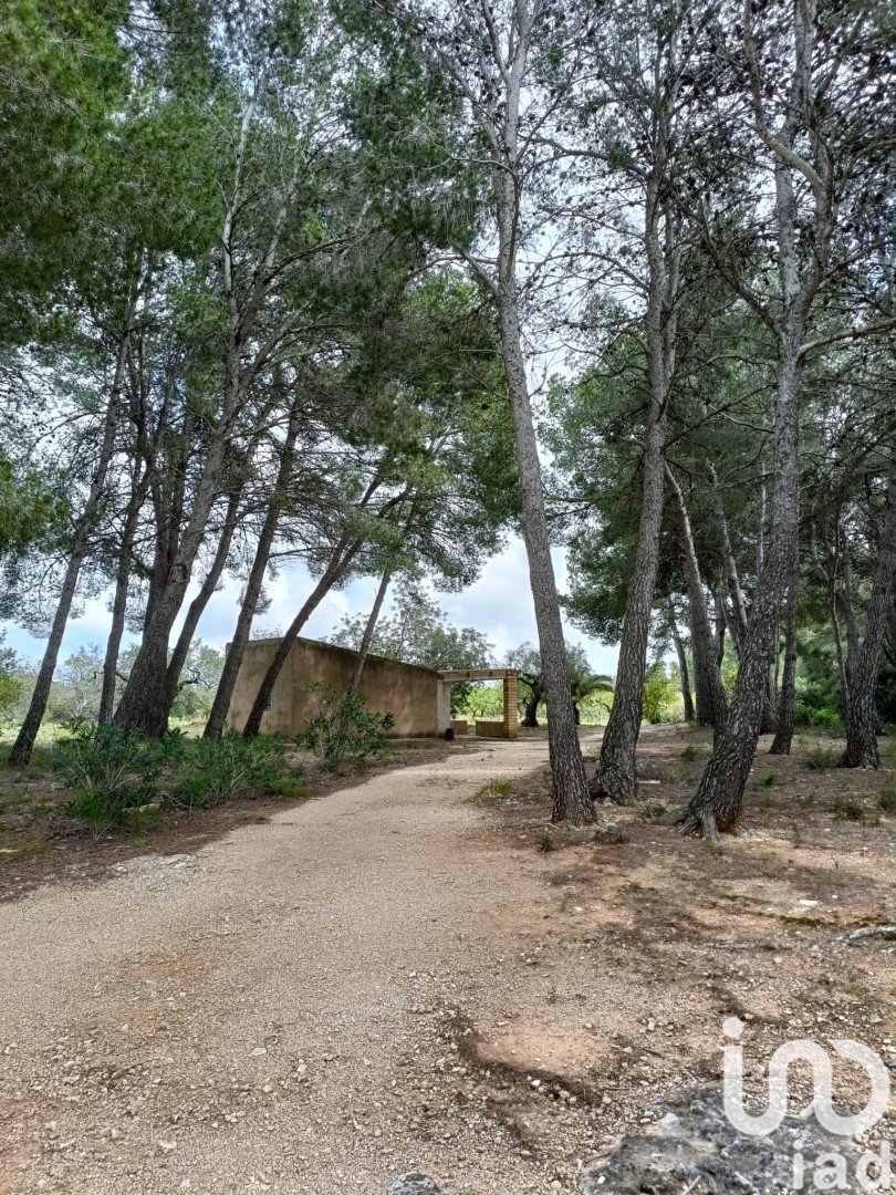 Land plot in El Perello, Tarragona, Spain 55000 sq.m. No. 185898
